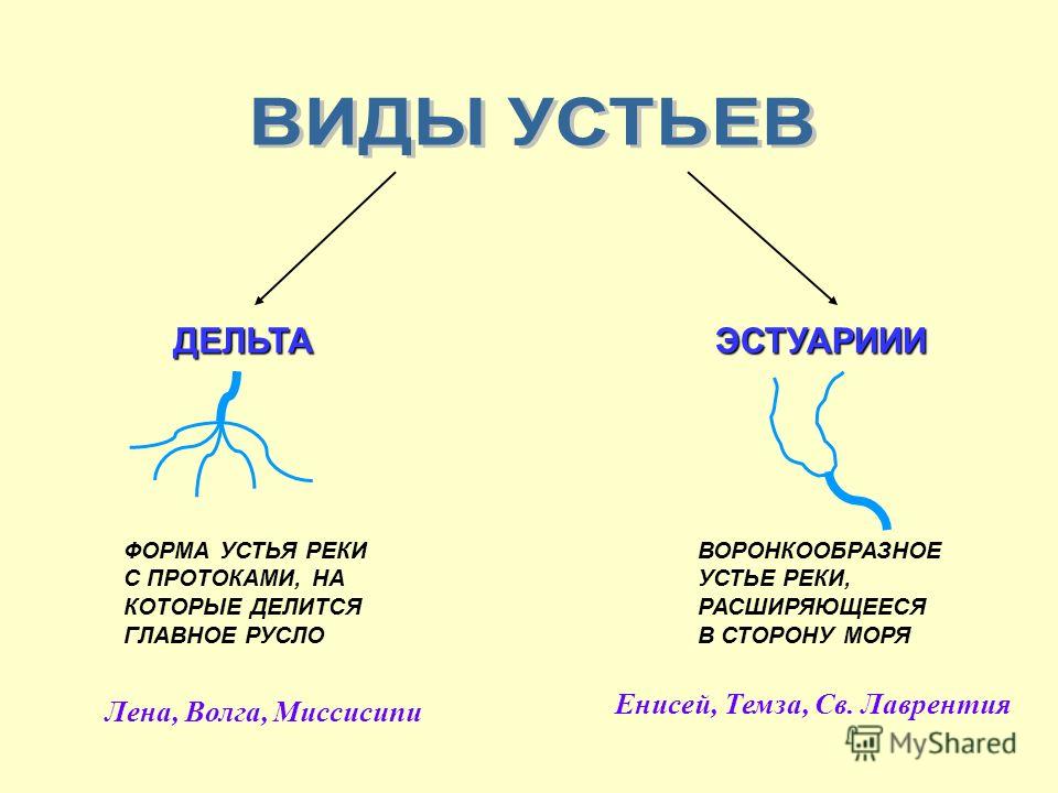 Правые и левые притоки амазонки