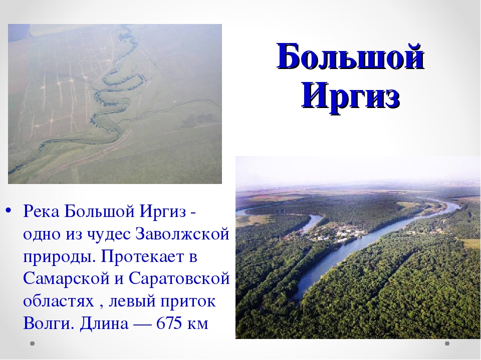 Какой крупнейший приток волги. Исток реки большой Иргиз. Река большой Иргиз Самарская область. Большой Иргиз река Самарская область на карте. Река Иргиз на карте Саратовской области.