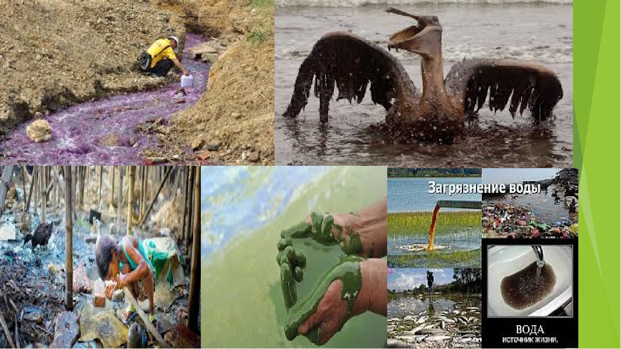 Экологические проблемы биосферы географии. Последствия загрязнения воды. Экологические проблемы воды. Загрязнение природы человеком. Последствия загрязнения окружающей среды.