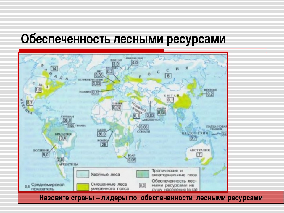 Главные преимущества в обеспеченности россии природными ресурсами. Карта обеспеченности лесными ресурсами. Обеспеченность природными ресурсами. Страны богатые лесными ресурсами. Обеспеченность стран лесными ресурсами.