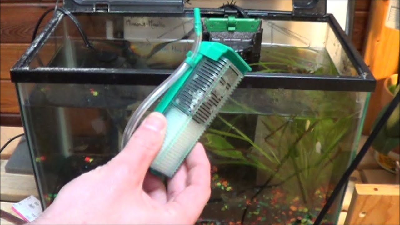 Фильтр для воды рыбкам. Мини фильтр МВ-201 для аквариума. Аэрлифтный фильтр Барбус 040. Фильтр Internal Filter Aquarium 6001f. Фильтр для аквариума НХ-1180f.