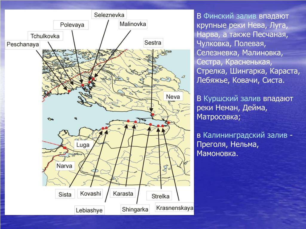 Какая река протекает в питере. Реки впадающие в финский залив на карте. Реки впадающие в финский залив. Река Нева впадает в финский залив. Реки которые впадают в финский залив.